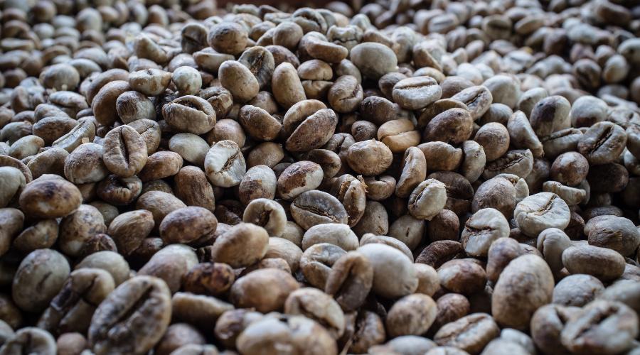 A Beginner's Guide to Understanding Specialty Coffee - kafeido roasters