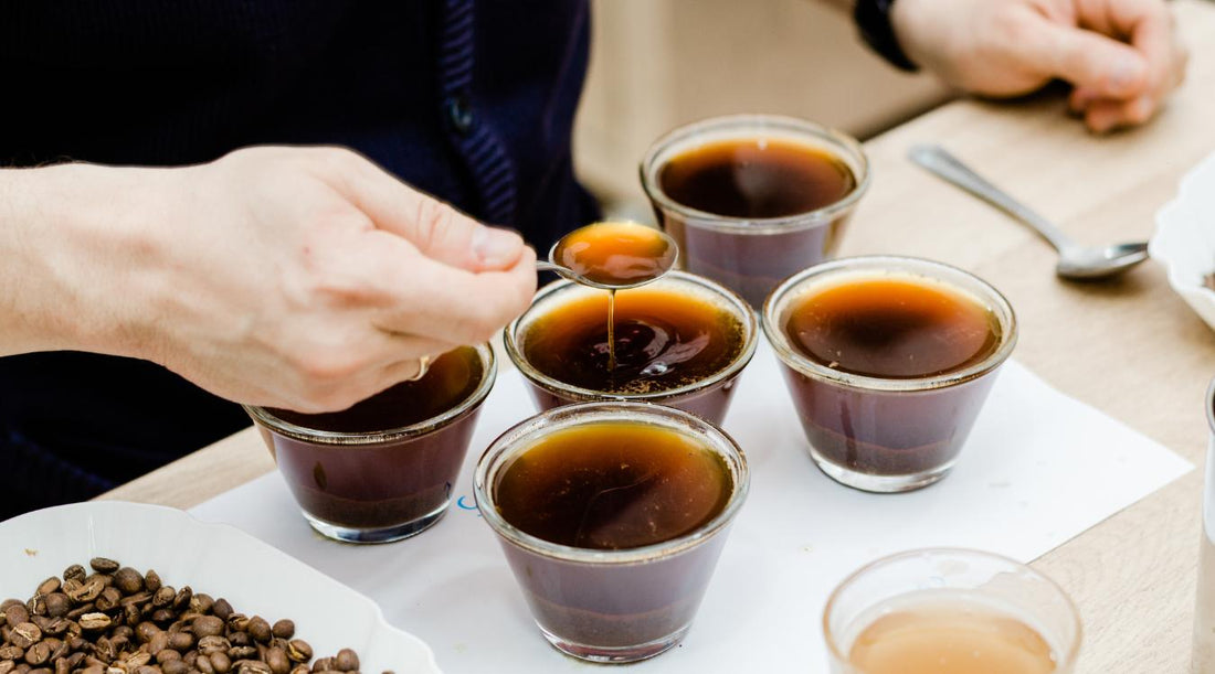 Discover the World of Specialty Coffee: A Guide to Tasting Notes - kafeido roasters