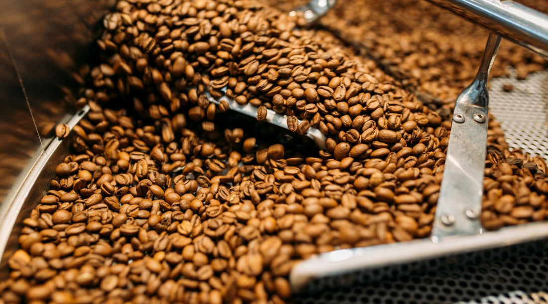 Specialty coffee roasting process: An overview & factors affecting the final flavor of your brew - kafeido roasters