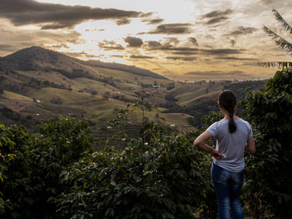 Brazil, Donas do Café - Pulped Natural - Medium Roast